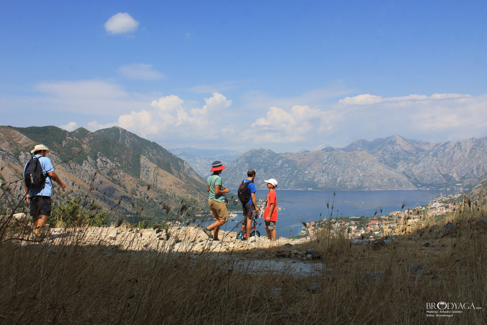 Kotor